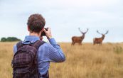 best camera for wildlife photography